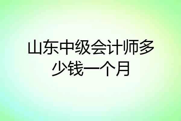 山东中级会计师多少钱一个月