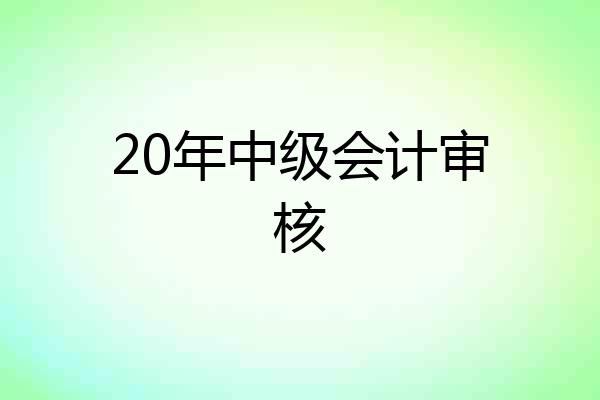 20年中级会计审核