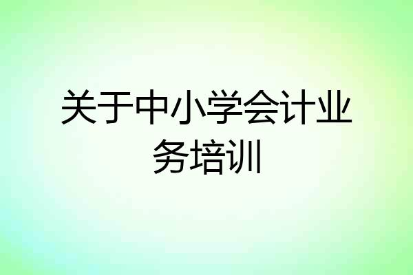 关于中小学会计业务培训