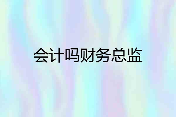 会计吗财务总监