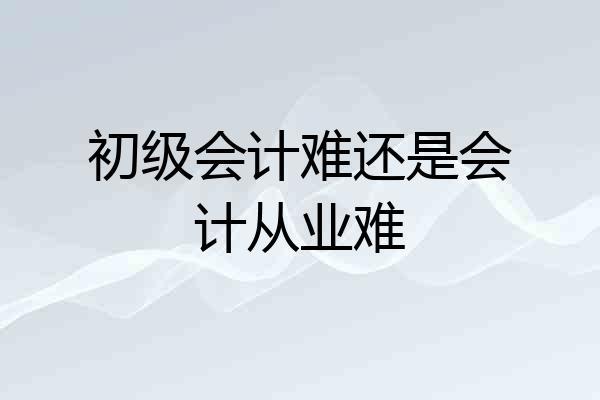 初级会计难还是会计从业难
