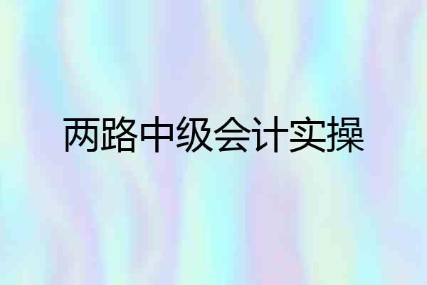 两路中级会计实操