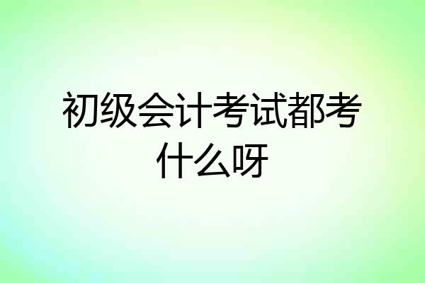 初级会计考试都考什么呀