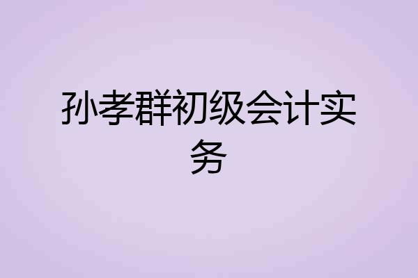 孙孝群初级会计实务
