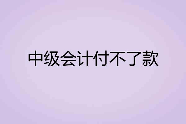 中级会计付不了款