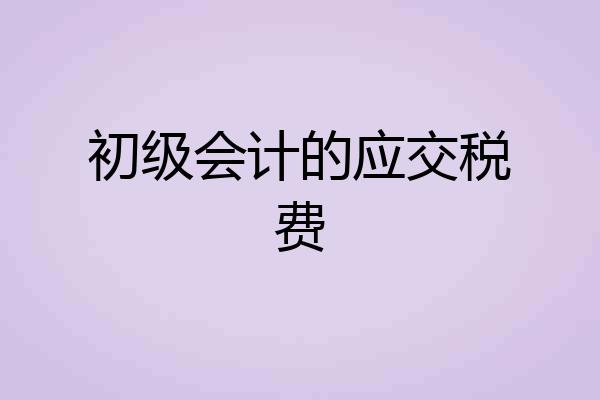 初级会计的应交税费