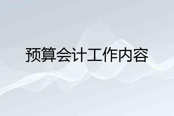 预算会计工作内容