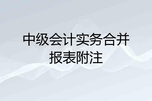 中级会计实务合并报表附注