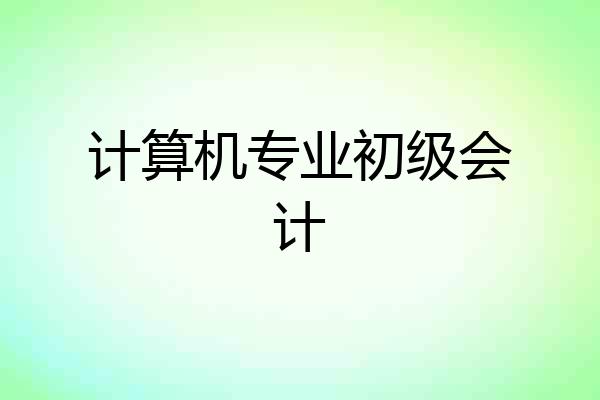 计算机专业初级会计