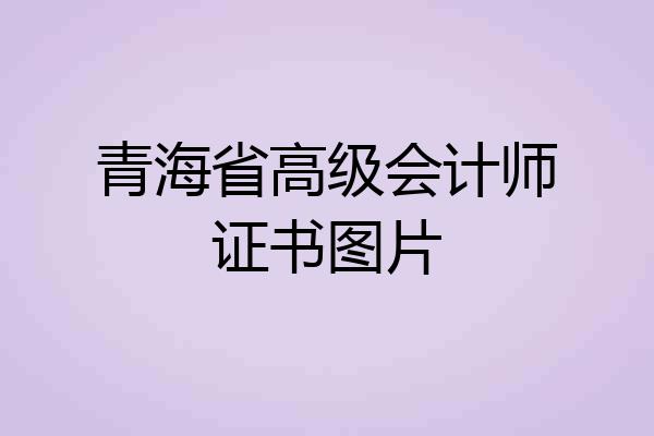 青海省高级会计师证书图片