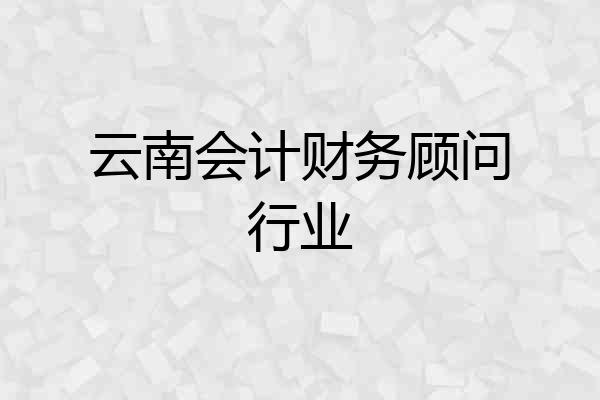 云南会计财务顾问行业