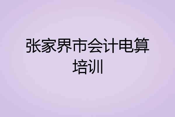 张家界市会计电算培训