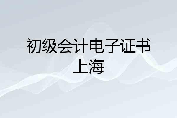 初级会计电子证书上海