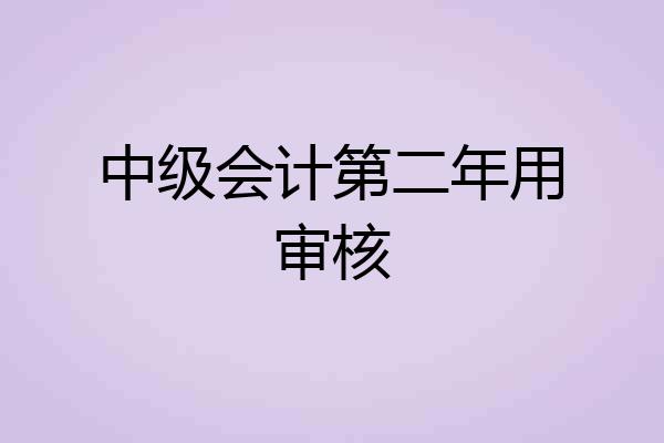 中级会计第二年用审核