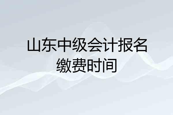 山东中级会计报名缴费时间