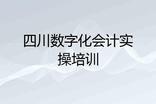 四川数字化会计实操培训
