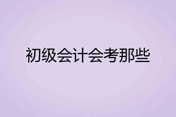 初级会计会考那些