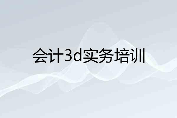 会计3d实务培训