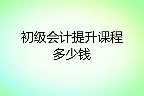 初级会计提升课程多少钱