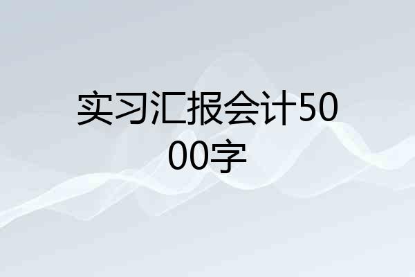 实习汇报会计5000字