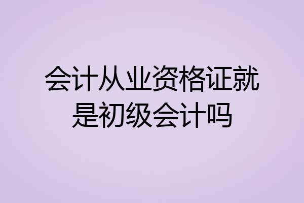 会计从业资格证就是初级会计吗