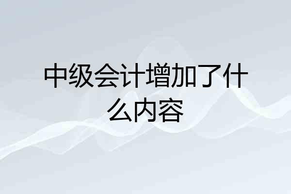 中级会计增加了什么内容