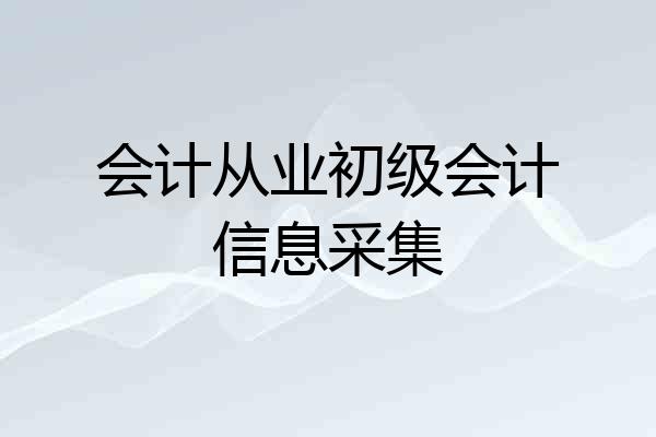 会计从业初级会计信息采集