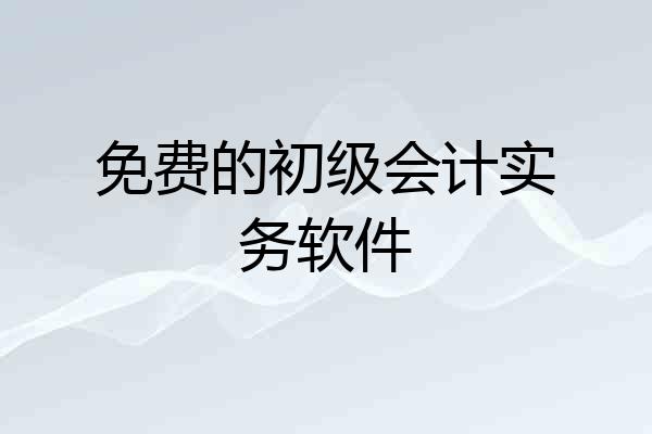 免费的初级会计实务软件
