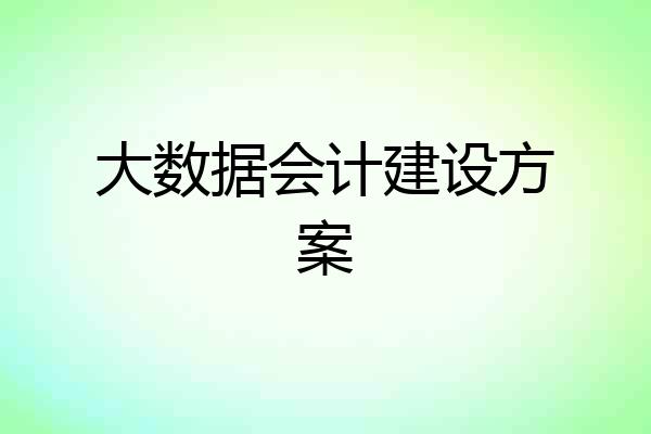 大数据会计建设方案