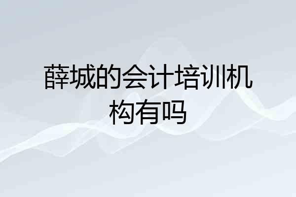 薛城的会计培训机构有吗