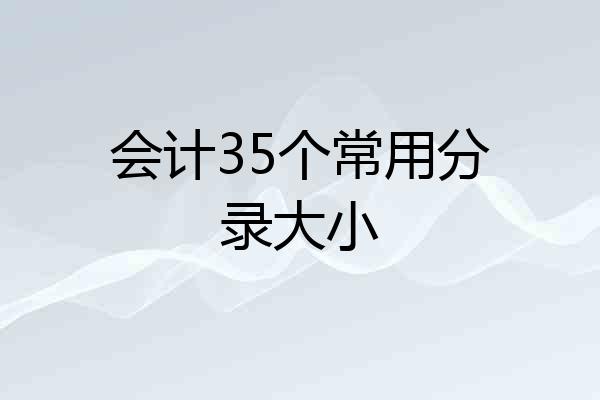 会计35个常用分录大小