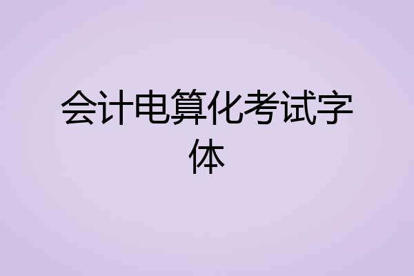 会计电算化考试字体