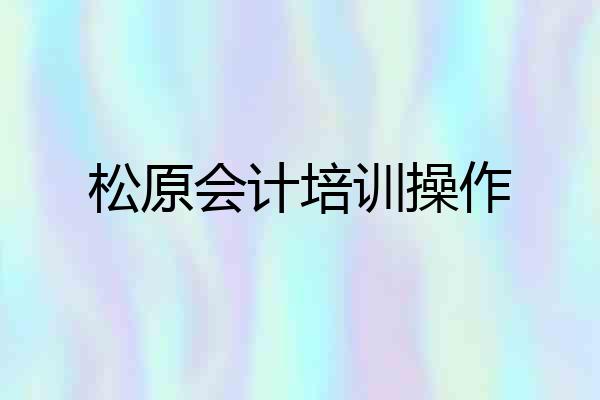松原会计培训操作