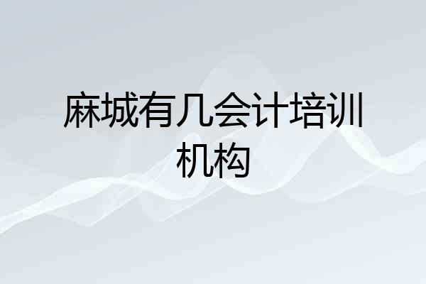 麻城有几会计培训机构