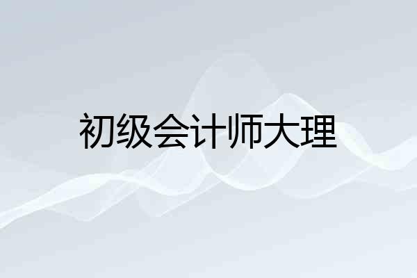 初级会计师大理