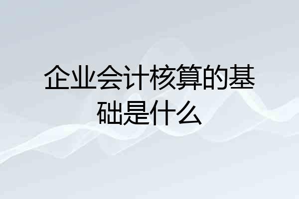 企业会计核算的基础是什么