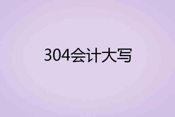 304会计大写