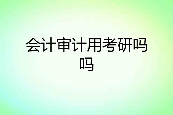 会计审计用考研吗吗