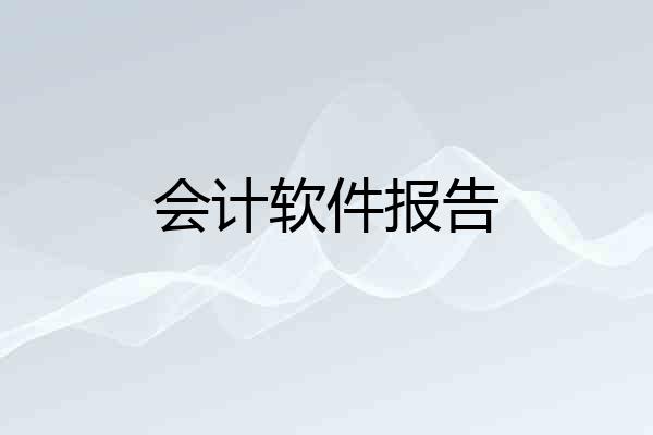 会计软件报告
