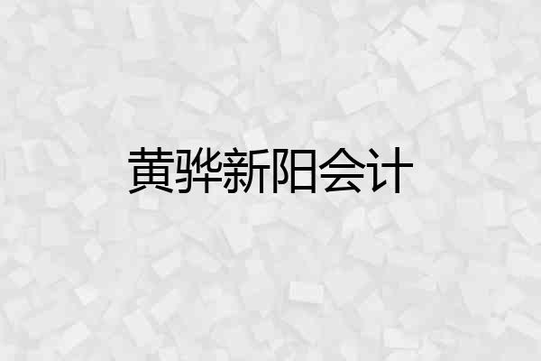 黄骅新阳会计
