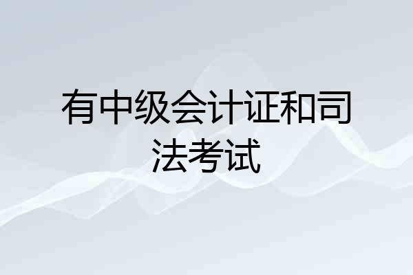 有中级会计证和司法考试