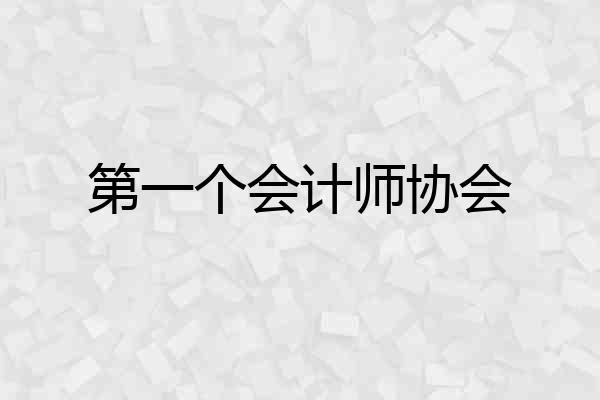 第一个会计师协会