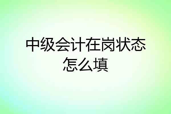 中级会计在岗状态怎么填