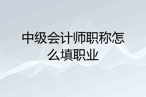 中级会计师职称怎么填职业