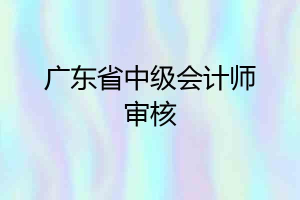 广东省中级会计师审核