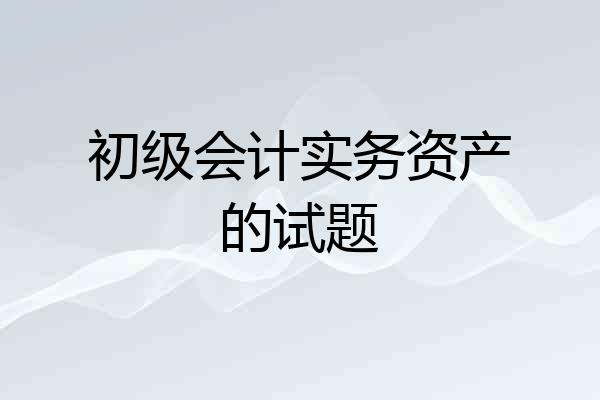 初级会计实务资产的试题
