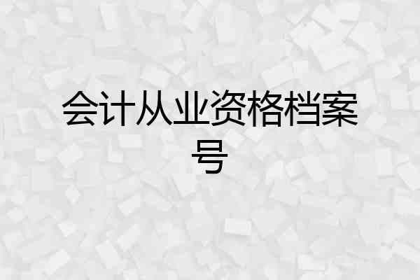 会计从业资格档案号