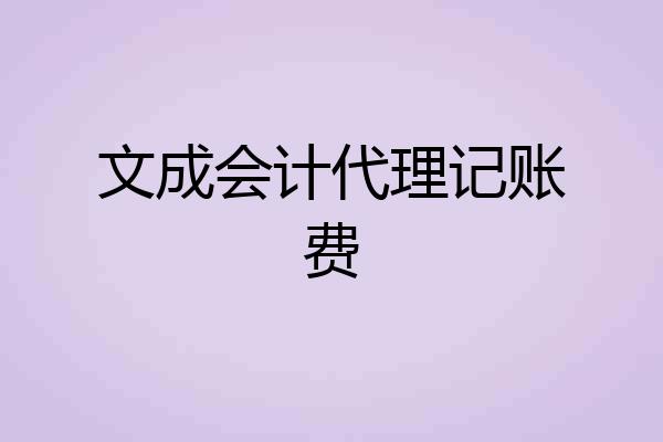 文成会计代理记账费