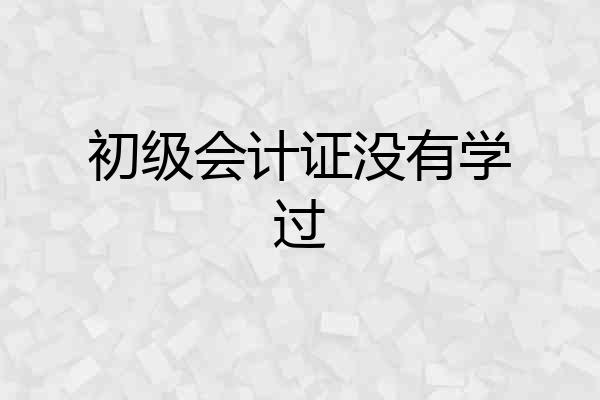 初级会计证没有学过