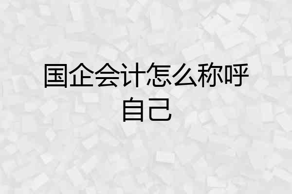 国企会计怎么称呼自己